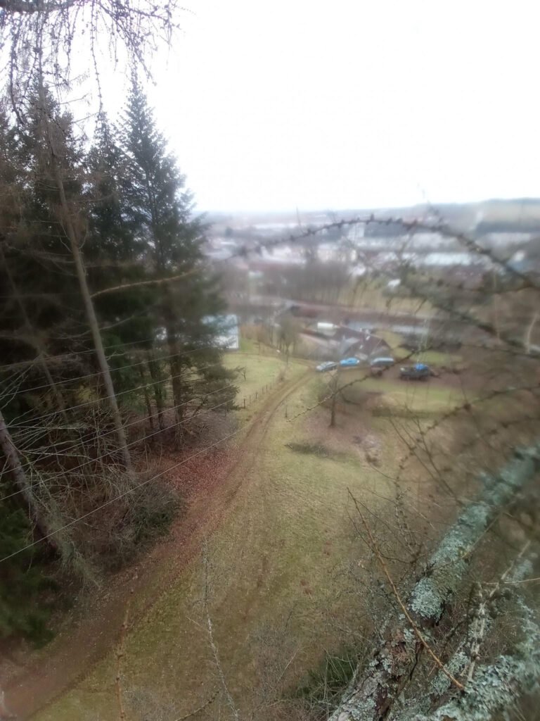 Pohled z výšky při práci na stromě