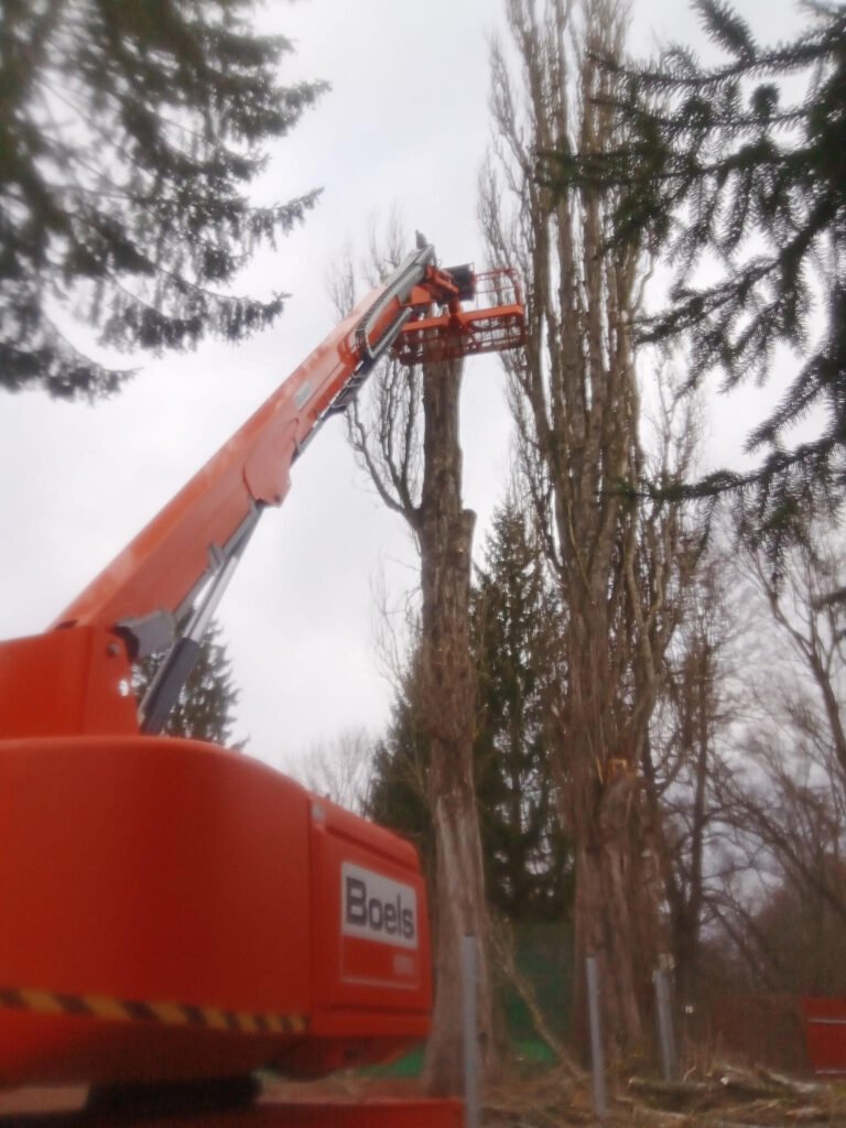 Práce z výškové plošiny u kmene stromu