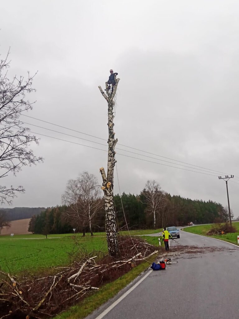 Postupné odstraňování kmene stromu u cesty
